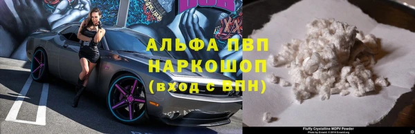 хмурый Бородино