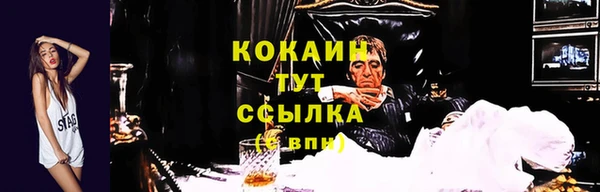 ALPHA-PVP Богородицк