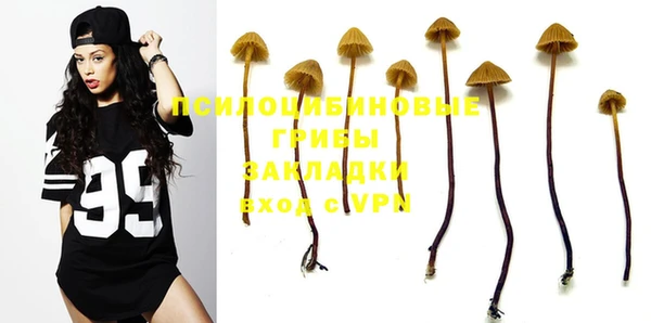 PSILOCYBIN Бронницы