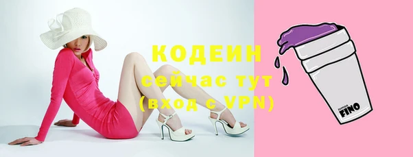 хмурый Бородино
