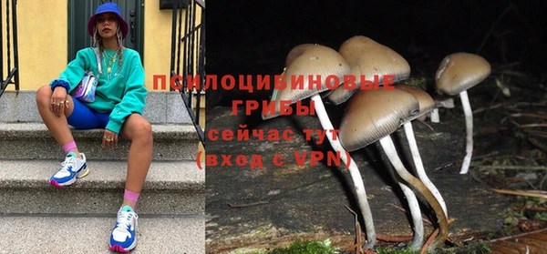 PSILOCYBIN Богородск