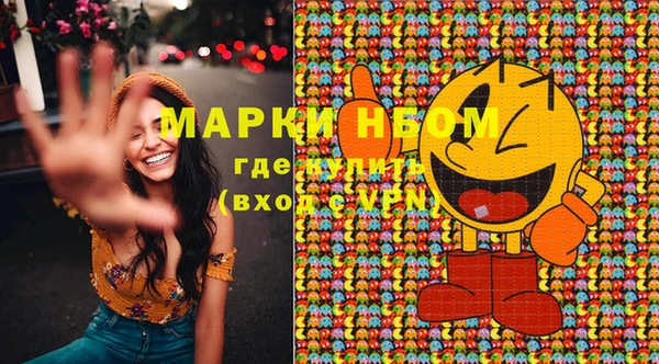 хмурый Бородино